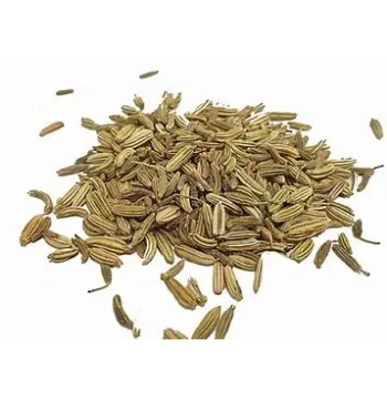 Fresh Organic Fennel Seeds
